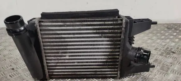 Nissan Juke I F15 Intercooler radiator