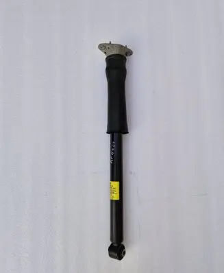 Buick Encore GX I Rear shock absorber/damper 60005110