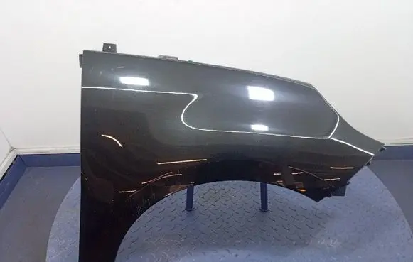 Renault Scenic III - Grand scenic III Fender 