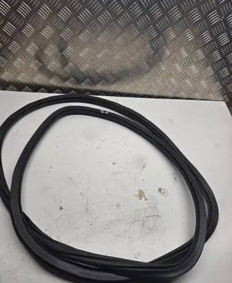 Volkswagen Tiguan Allspace Rear door rubber seal (on body) 