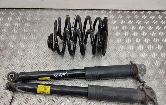 Opel Zafira C Rear shock absorber with coil spring 13419902