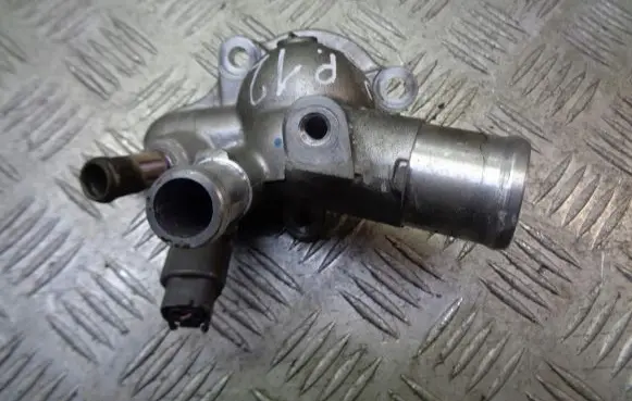 Thermostat/thermostat housing