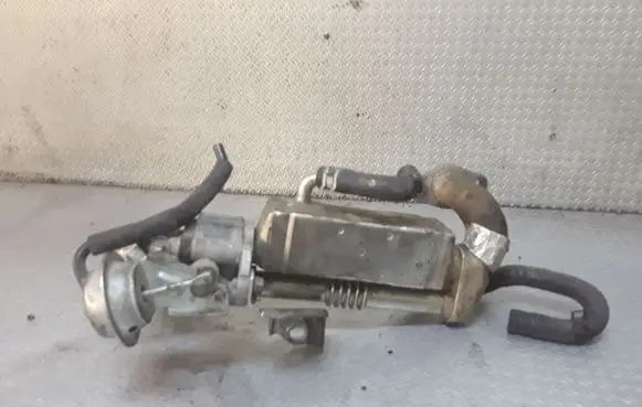 EGR valve cooler