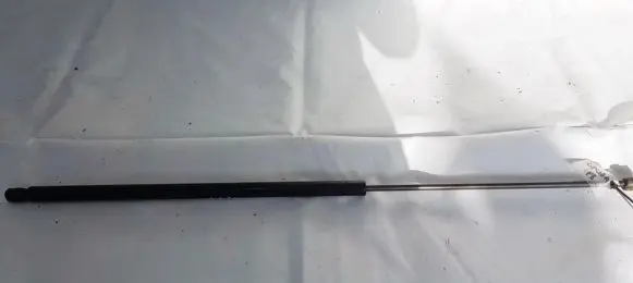 Fiat Doblo Front bonnet/hood damper/strut