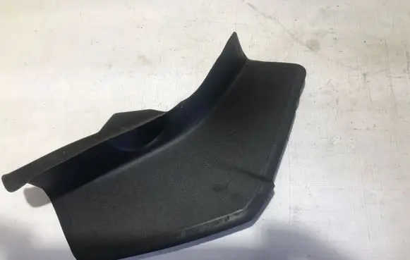 Rear/tail light trim molding