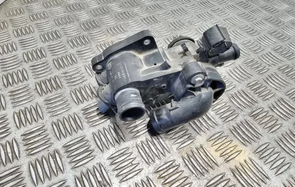 Thermostat/thermostat housing