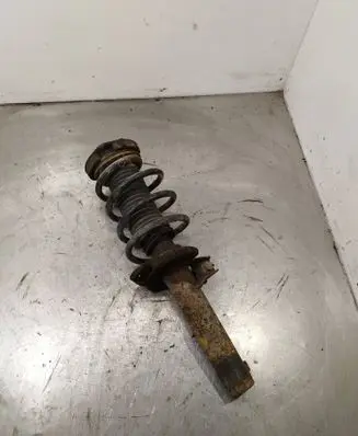 Volkswagen Tiguan Front shock absorber with coil spring