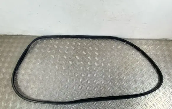 Nissan Ariya Rear door rubber seal (on body)