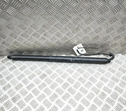 Tesla Model Y Juniper Tailgate/trunk strut/damper 193202699D