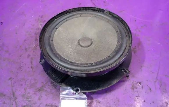 Volkswagen Golf IV Front door speaker 1K0035454J