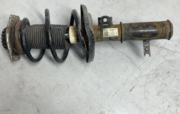 Opel Insignia B Front shock absorber with coil spring 84155696