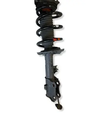 KIA Sportage Front shock absorber with coil spring 54660F1550 T19G0510395