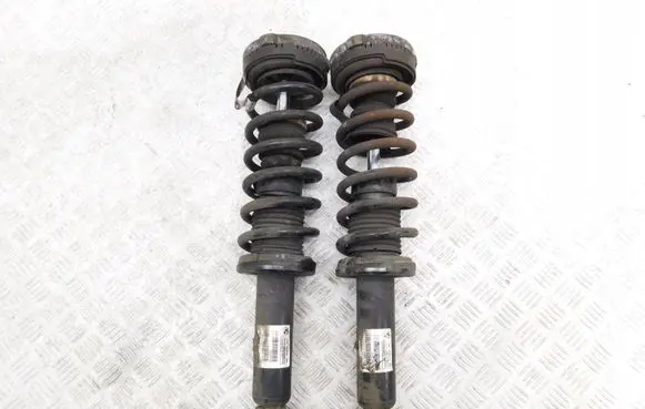 BMW X3 F25 Rear shock absorber with coil spring 6796317