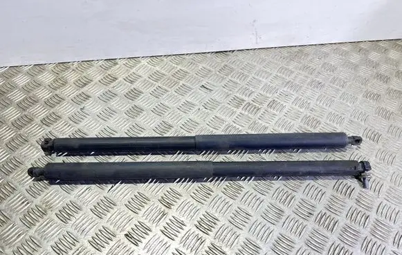 Opel Insignia A Tailgate/trunk strut/damper 005128 003148