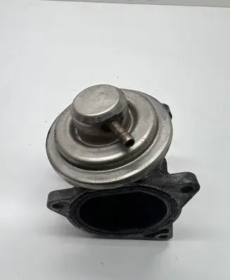 Volkswagen PASSAT B6 EGR valve 038131501AN 225905100