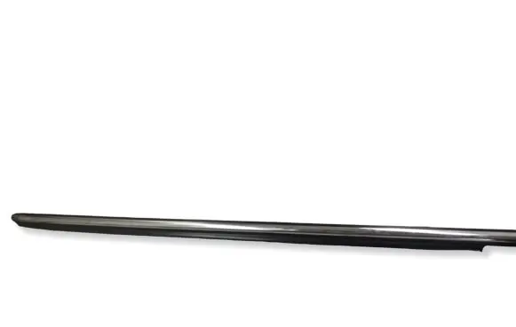 Mitsubishi Lancer X Windshield trim 