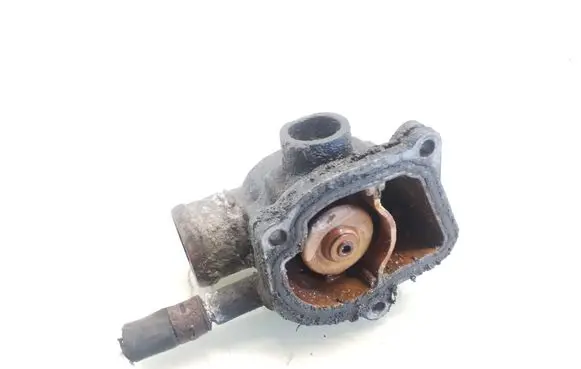 Thermostat/thermostat housing