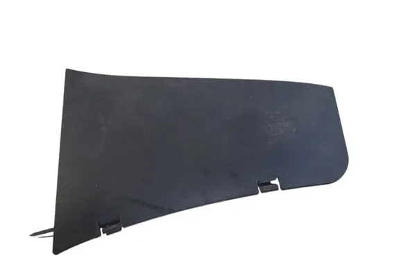 Rear/tail light trim molding