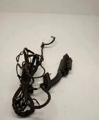 BMW 6 F06 Gran coupe Rear door wiring loom 9355663