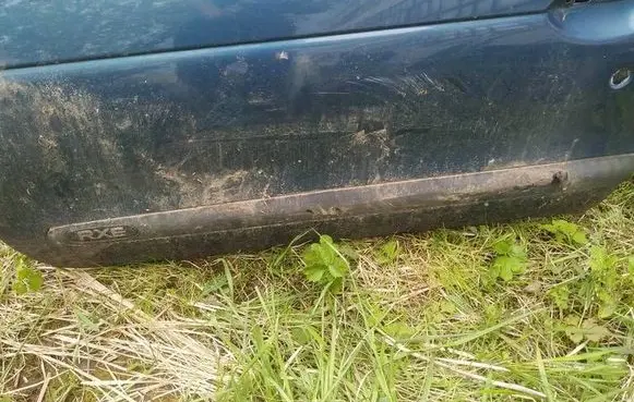 Renault Megane I Front door trim (molding) 