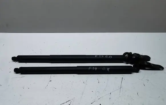 Tailgate strut