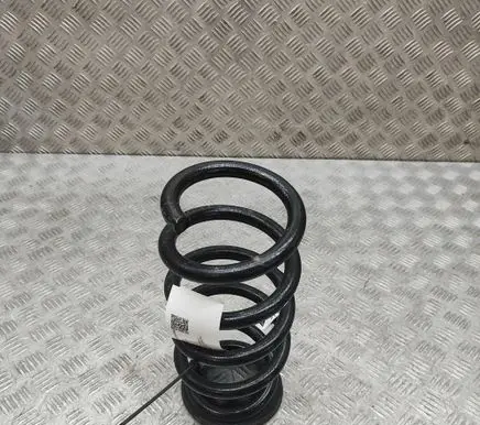 Tesla Model Y Juniper Rear coil spring 218847200C