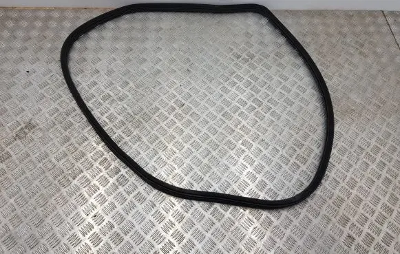 Citroen DS5 Rear door rubber seal (on body) 