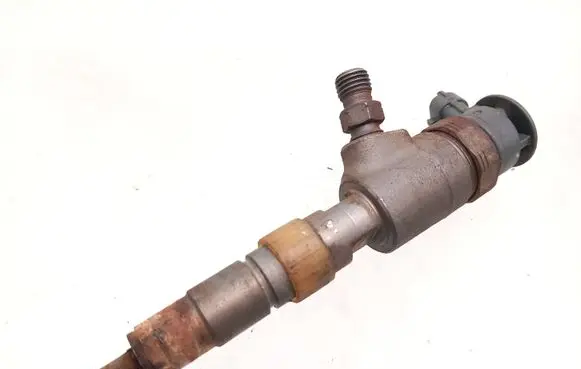 Peugeot Partner Fuel injector 0445110566
