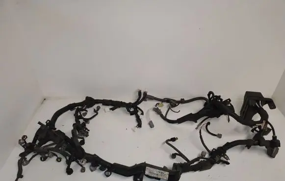 Engine installation wiring loom