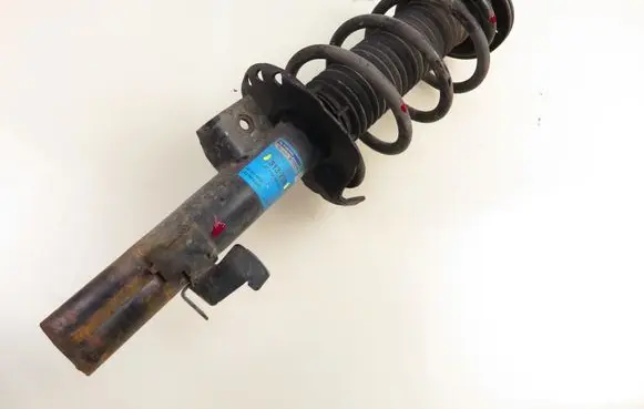 Ford S-MAX Front shock absorber with coil spring 313759