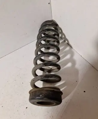 Rear coil spring