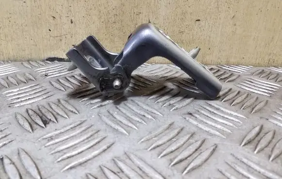 Citroen DS4 Rear door lower hinge