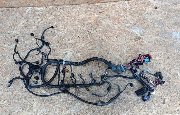 Seat Exeo (3R) Engine installation wiring loom 8K0971824AB 512443810