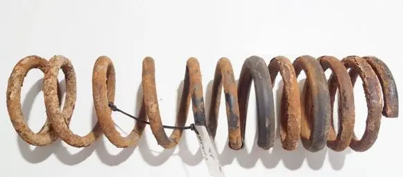 Rear coil spring