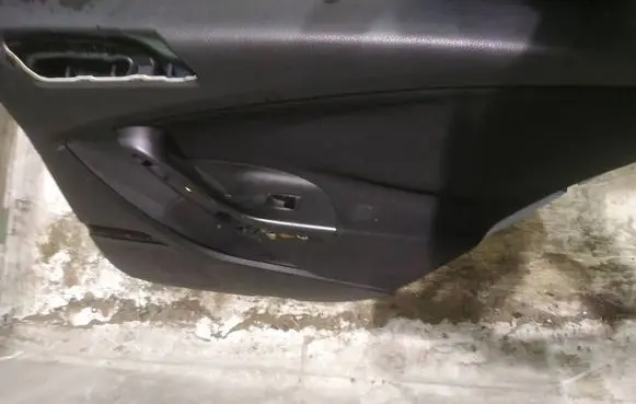 Volkswagen PASSAT B6 Rear door card panel trim