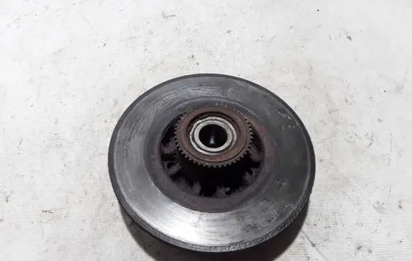 Renault Trafic III (X82) Rear brake disc 432022742R