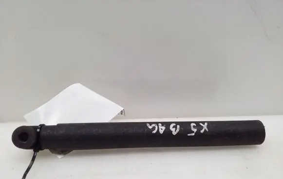 BMW X5 E53 Tailgate strut 8402195