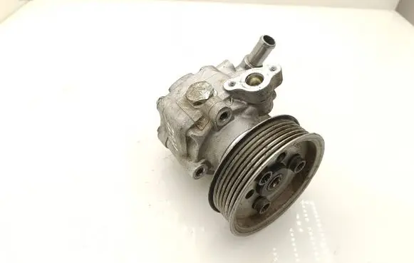 Volkswagen Transporter - Caravelle T5 Power steering pump 06H145255F