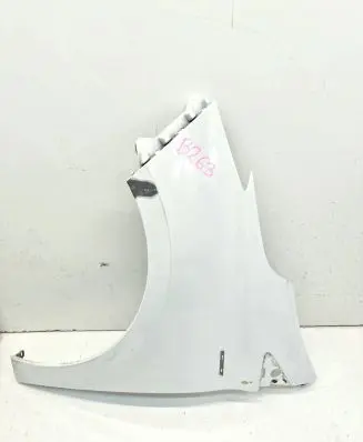 Renault Zoe Fender 631018491R
