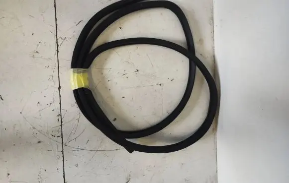Nissan Qashqai Front door rubber seal