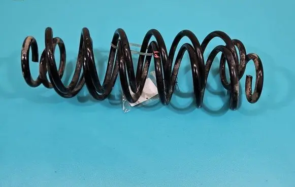 Rear coil spring