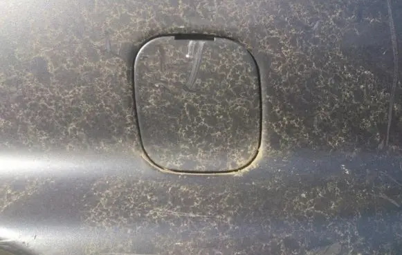 Rear bumper row hook cap/cover