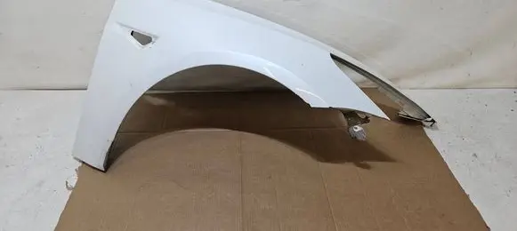 Tesla Model 3 Fender BLOTNIKTESLA3