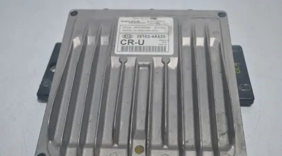 KIA Carnival Engine control unit/module 391024X520
