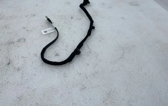 Other wiring loom