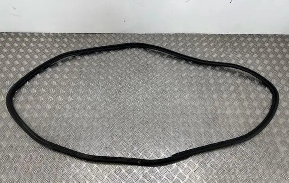 BMW 5 G30 G31 G38 Trunk rubber seal (body) 7390376