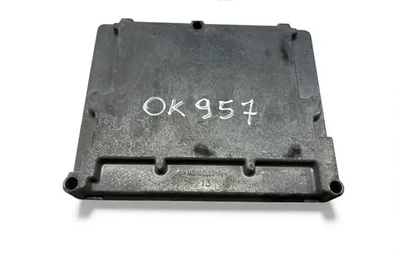 Engine control unit/module ECU