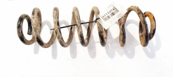 Volkswagen PASSAT B6 Rear coil spring