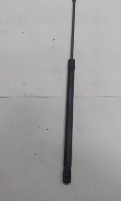 Tailgate/trunk strut/damper
