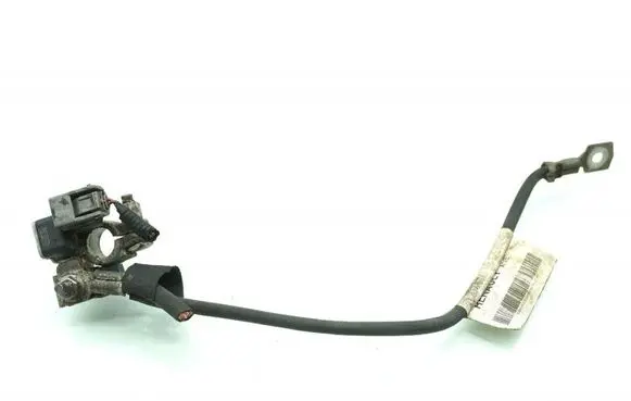 Renault Captur Other wiring loom 250825784